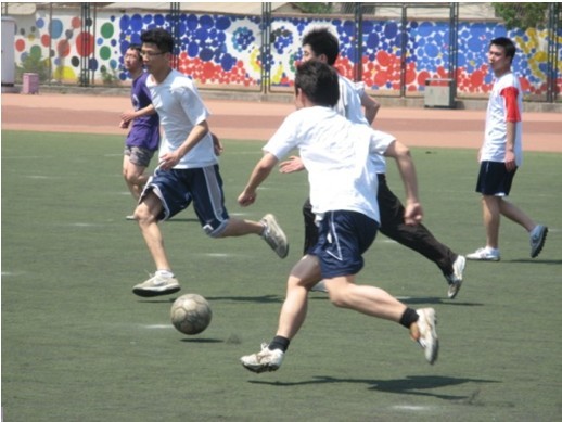 新球员融入 新球员融入